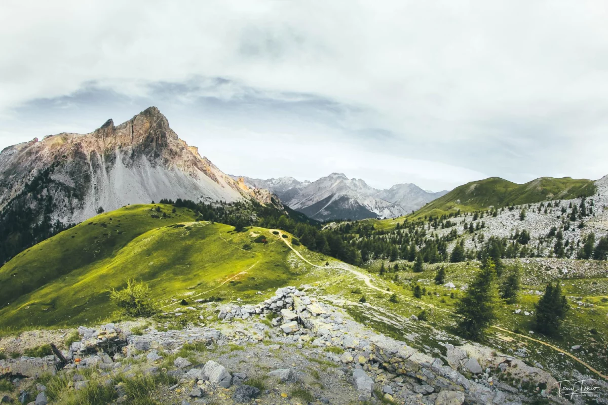 Komu warto zainwestować w panele słoneczne