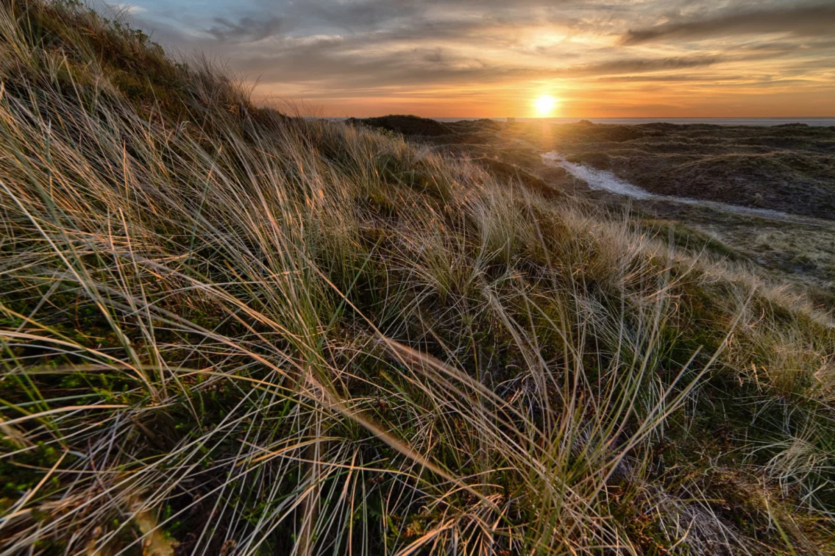 Trochę prawnych faktów